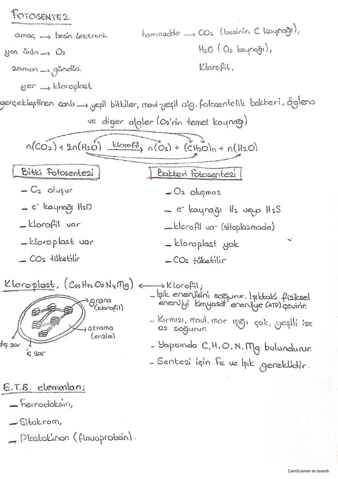 FOTOSENTE2
amaç, besin üretmek
hammadde
yon
Ürün
T
02
- CO₂ (besinin C koyrağı),
H₂O (O₂ kaynağı),
Klorofil,
2amon-
gündüz
yer -
kloroplast
