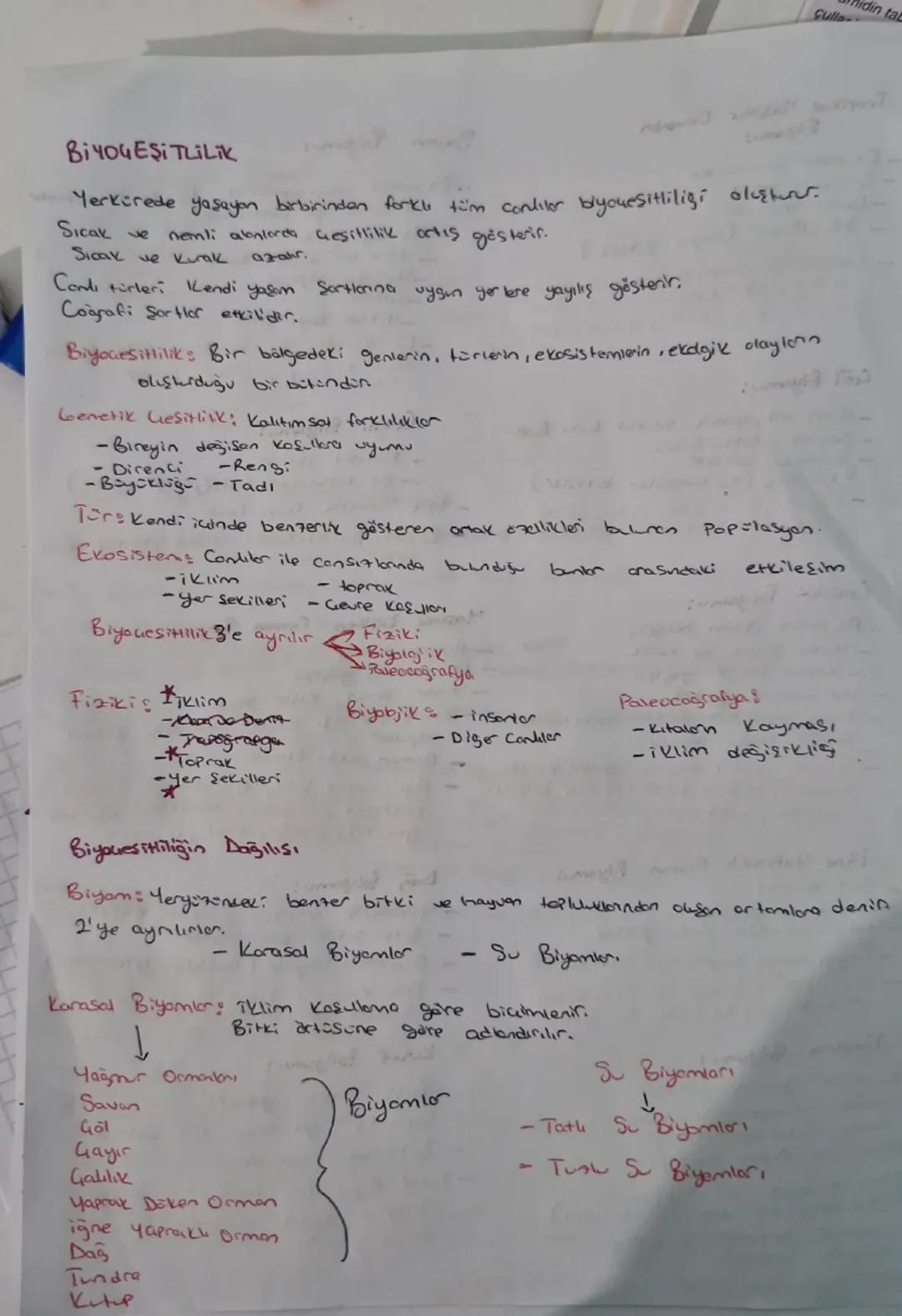 11.sınıf coğrafya biyomlar bilinmesi gerekenler özet