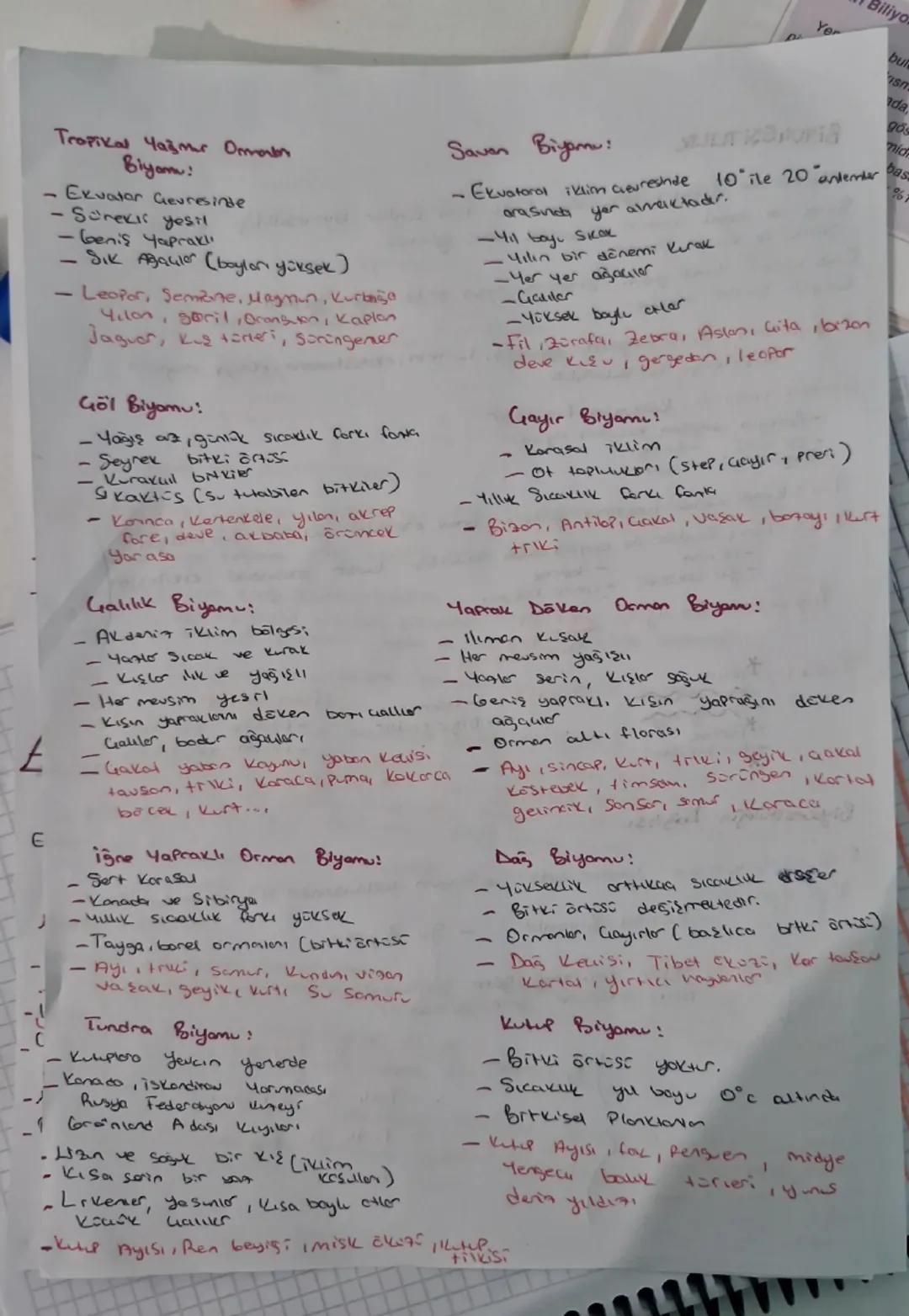 hidin tac
Sulla

BiYOG EŞİTLİLik

Yerkürede yaşayan birbirinden forklı tüm conlilor blyoueşitliligi OLLEHUSUS.
Sıcak ve nemli aonlorca Gesit