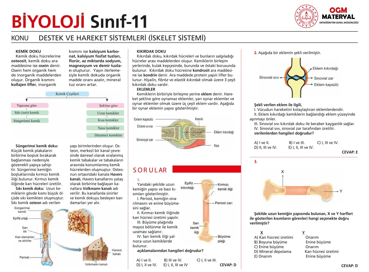 # BİYOLOJİ Sınıf-11

KONU SİNİR SİSTEMİ - I

## SİNİR SİSTEMİ:
Sinir doku adını verilen sinir hücreleri ile **glia** denilen yardımcı hücrel