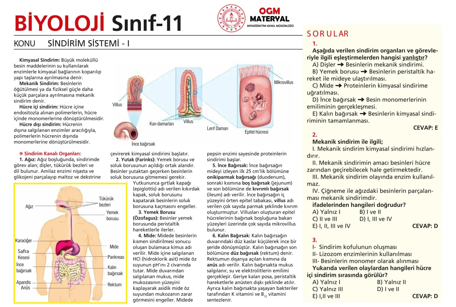 # BİYOLOJİ Sınıf-11

KONU SİNİR SİSTEMİ - I

## SİNİR SİSTEMİ:
Sinir doku adını verilen sinir hücreleri ile **glia** denilen yardımcı hücrel