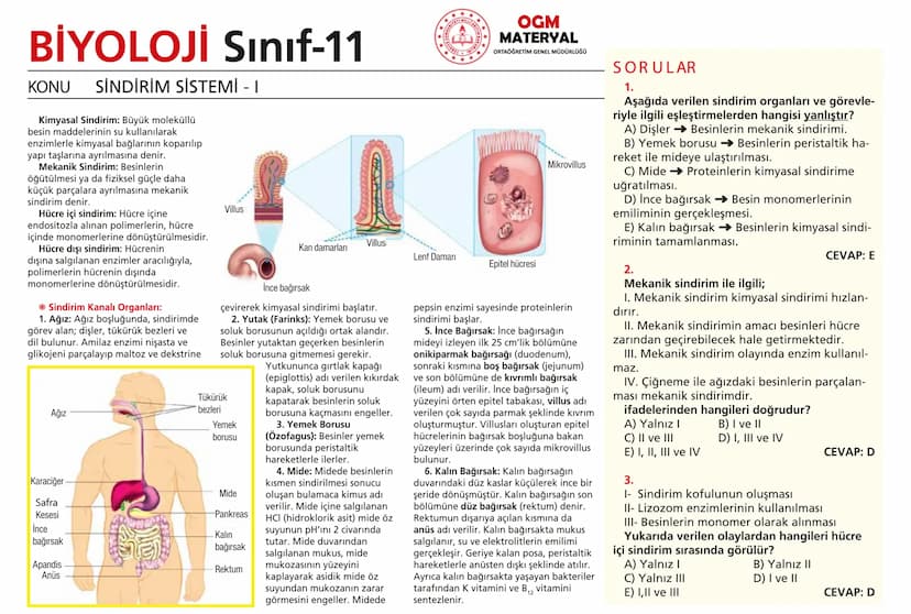 # BİYOLOJİ Sınıf-11

KONU SİNİR SİSTEMİ - I

## SİNİR SİSTEMİ:
Sinir doku adını verilen sinir hücreleri ile **glia** denilen yardımcı hücrel