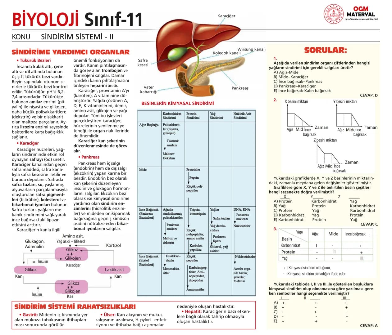 # BİYOLOJİ Sınıf-11

KONU SİNİR SİSTEMİ - I

## SİNİR SİSTEMİ:
Sinir doku adını verilen sinir hücreleri ile **glia** denilen yardımcı hücrel