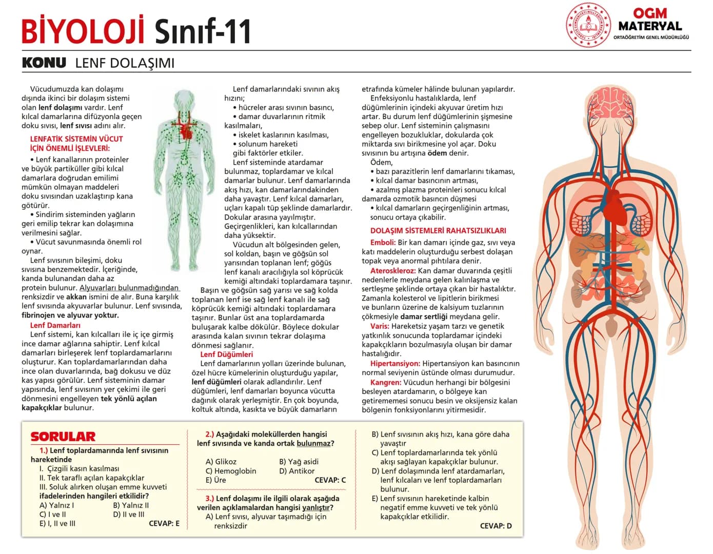 # BİYOLOJİ Sınıf-11

KONU SİNİR SİSTEMİ - I

## SİNİR SİSTEMİ:
Sinir doku adını verilen sinir hücreleri ile **glia** denilen yardımcı hücrel