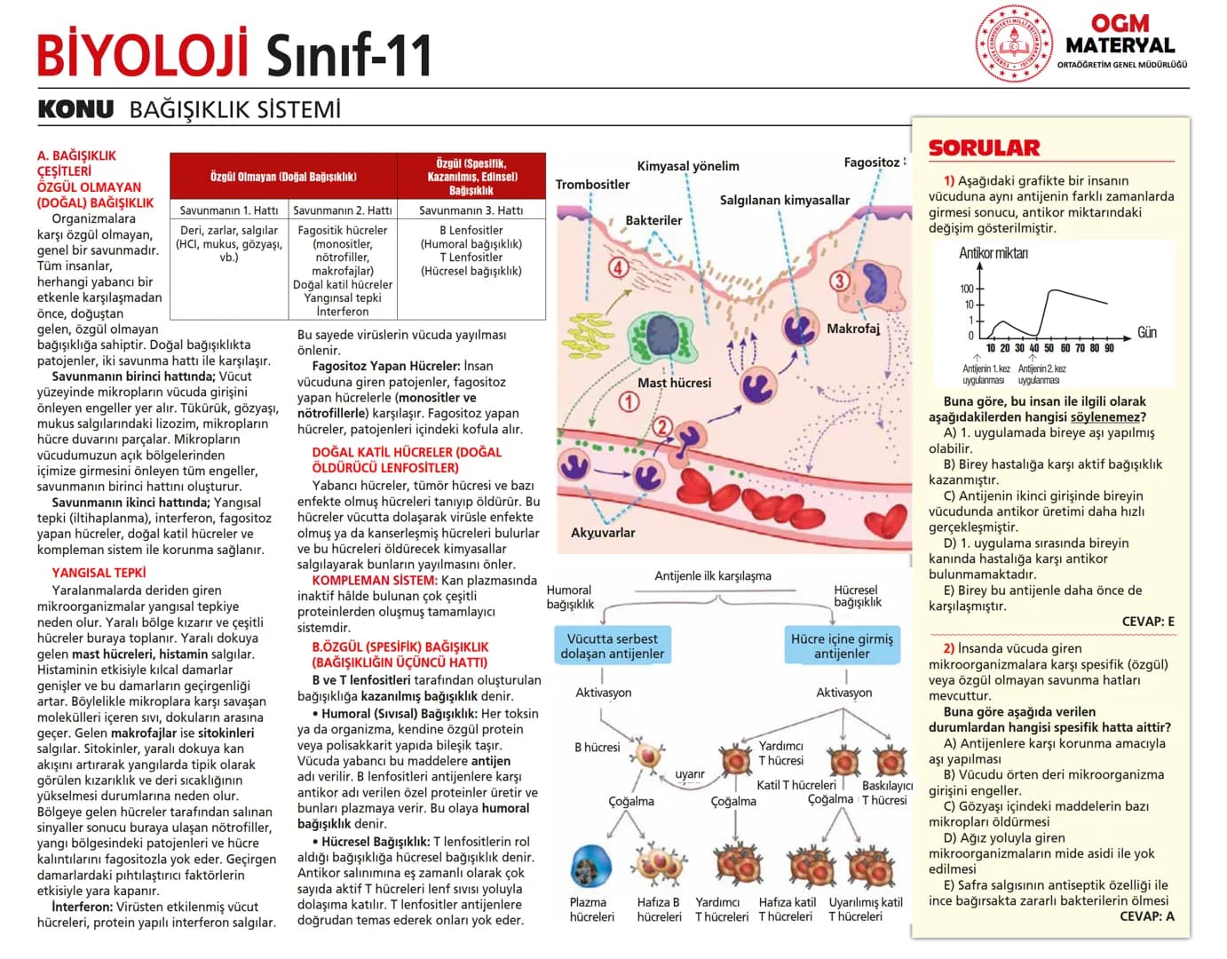 # BİYOLOJİ Sınıf-11

KONU SİNİR SİSTEMİ - I

## SİNİR SİSTEMİ:
Sinir doku adını verilen sinir hücreleri ile **glia** denilen yardımcı hücrel