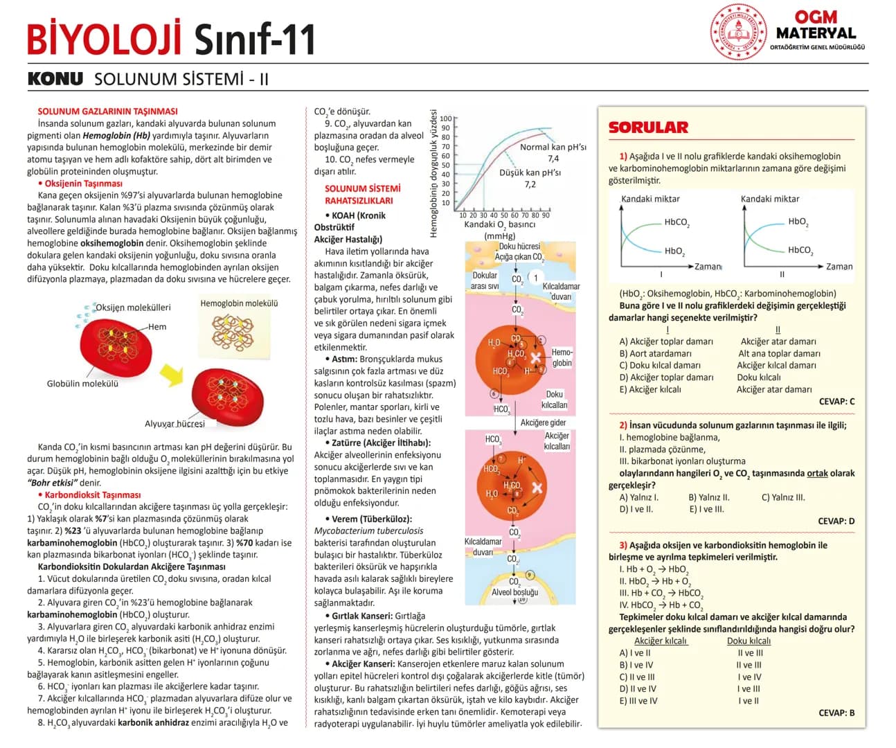 # BİYOLOJİ Sınıf-11

KONU SİNİR SİSTEMİ - I

## SİNİR SİSTEMİ:
Sinir doku adını verilen sinir hücreleri ile **glia** denilen yardımcı hücrel
