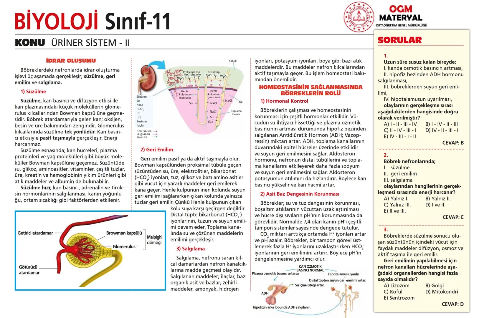 # BİYOLOJİ Sınıf-11

KONU SİNİR SİSTEMİ - I

## SİNİR SİSTEMİ:
Sinir doku adını verilen sinir hücreleri ile **glia** denilen yardımcı hücrel