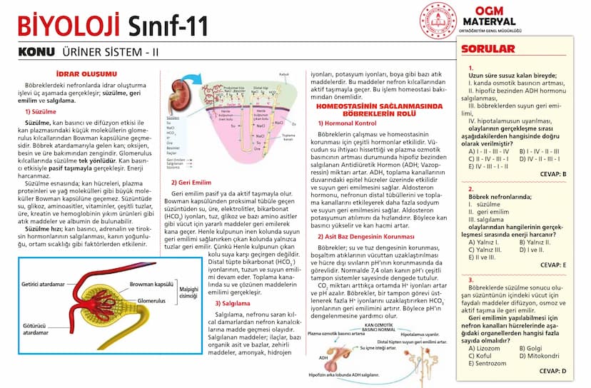 # BİYOLOJİ Sınıf-11

KONU SİNİR SİSTEMİ - I

## SİNİR SİSTEMİ:
Sinir doku adını verilen sinir hücreleri ile **glia** denilen yardımcı hücrel