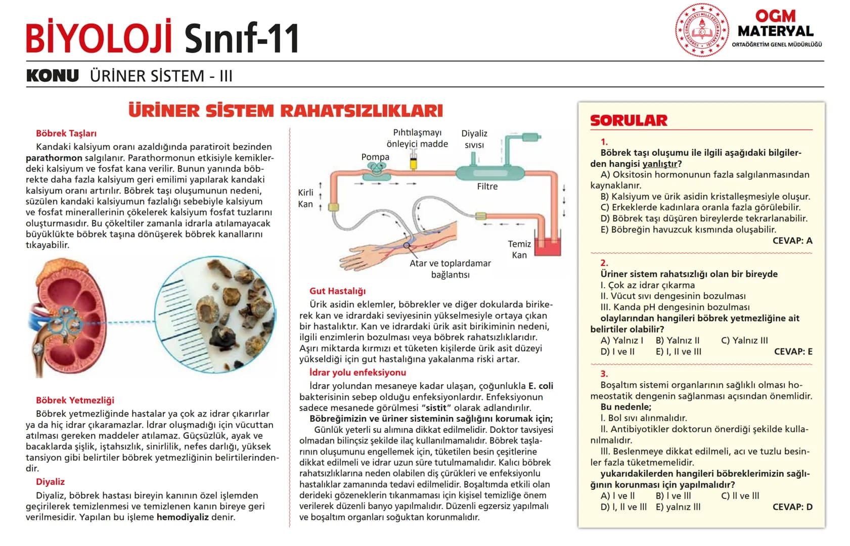 # BİYOLOJİ Sınıf-11

KONU SİNİR SİSTEMİ - I

## SİNİR SİSTEMİ:
Sinir doku adını verilen sinir hücreleri ile **glia** denilen yardımcı hücrel