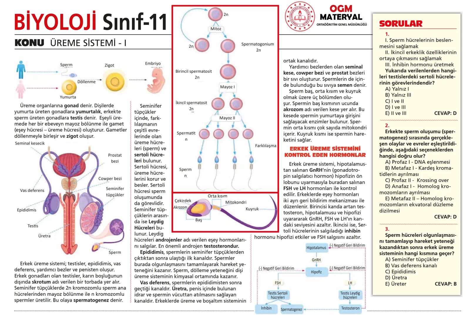 # BİYOLOJİ Sınıf-11

KONU SİNİR SİSTEMİ - I

## SİNİR SİSTEMİ:
Sinir doku adını verilen sinir hücreleri ile **glia** denilen yardımcı hücrel