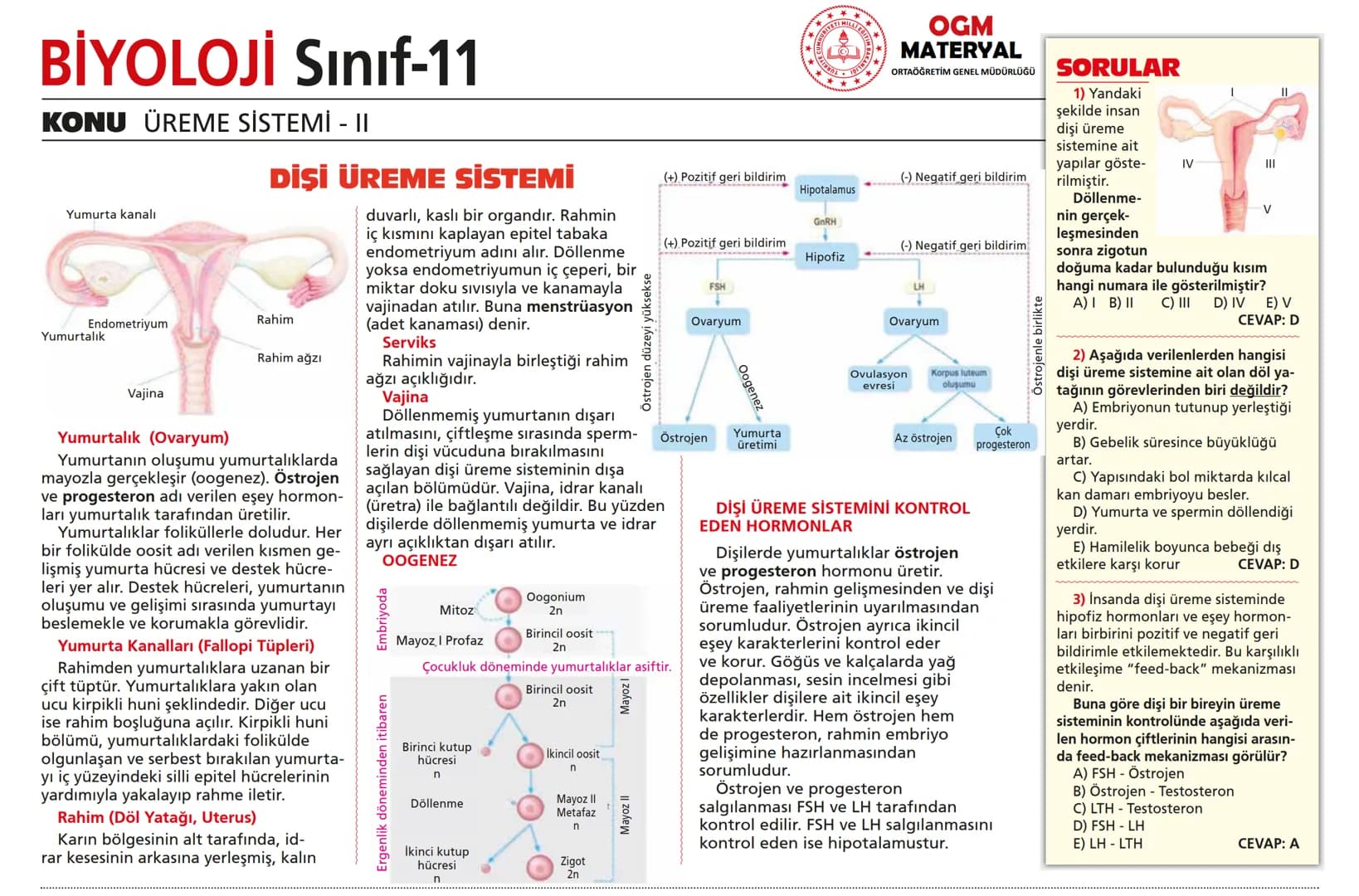 # BİYOLOJİ Sınıf-11

KONU SİNİR SİSTEMİ - I

## SİNİR SİSTEMİ:
Sinir doku adını verilen sinir hücreleri ile **glia** denilen yardımcı hücrel