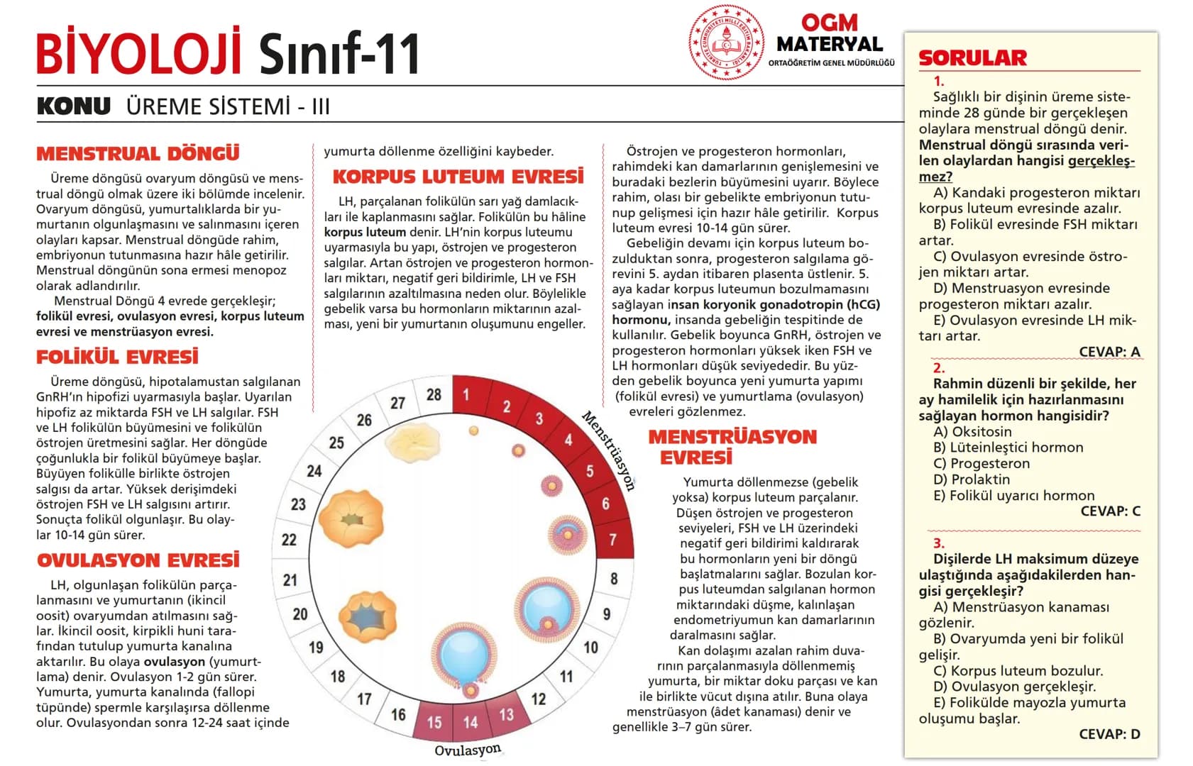 # BİYOLOJİ Sınıf-11

KONU SİNİR SİSTEMİ - I

## SİNİR SİSTEMİ:
Sinir doku adını verilen sinir hücreleri ile **glia** denilen yardımcı hücrel