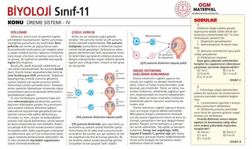 # BİYOLOJİ Sınıf-11

KONU SİNİR SİSTEMİ - I

## SİNİR SİSTEMİ:
Sinir doku adını verilen sinir hücreleri ile **glia** denilen yardımcı hücrel