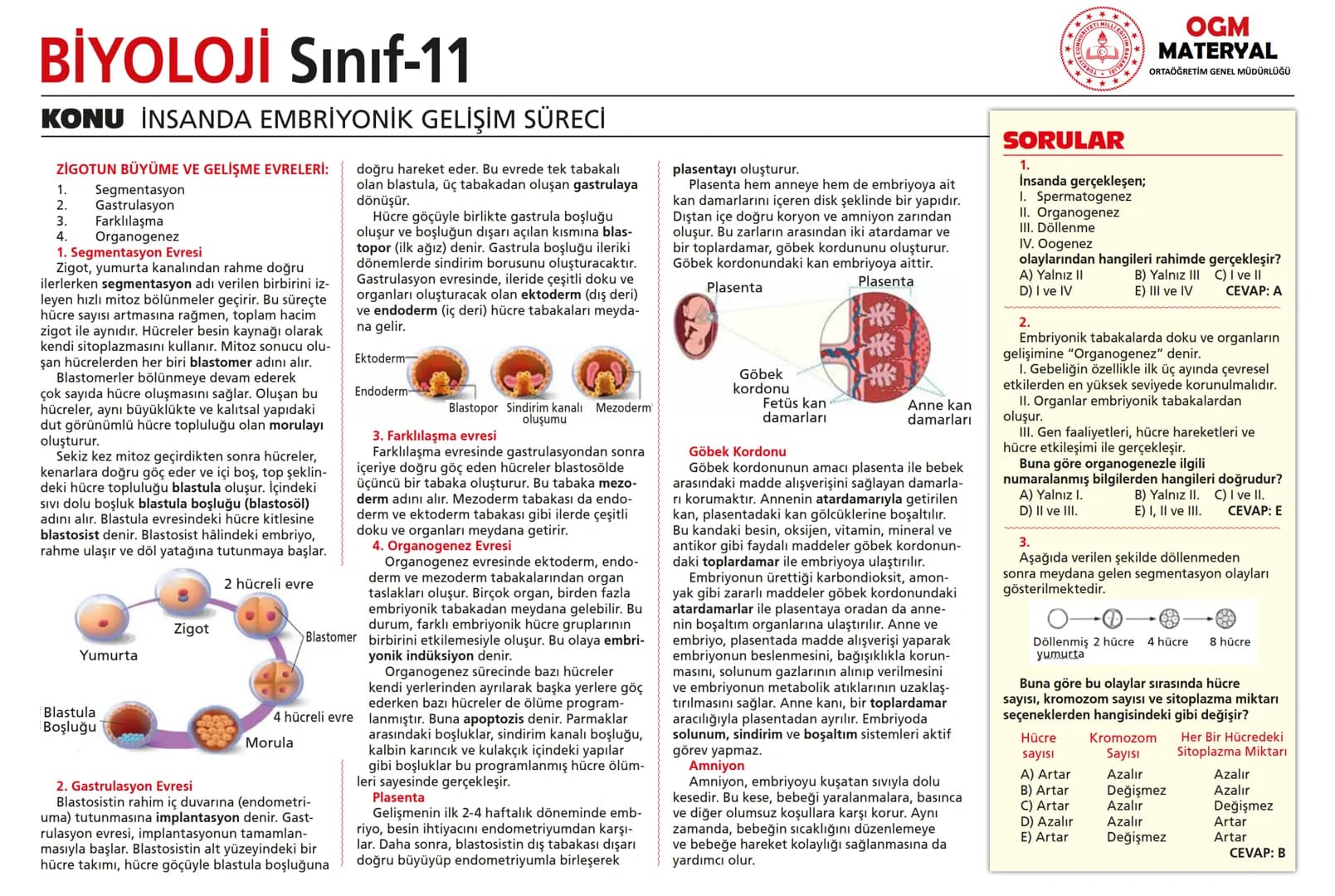 # BİYOLOJİ Sınıf-11

KONU SİNİR SİSTEMİ - I

## SİNİR SİSTEMİ:
Sinir doku adını verilen sinir hücreleri ile **glia** denilen yardımcı hücrel