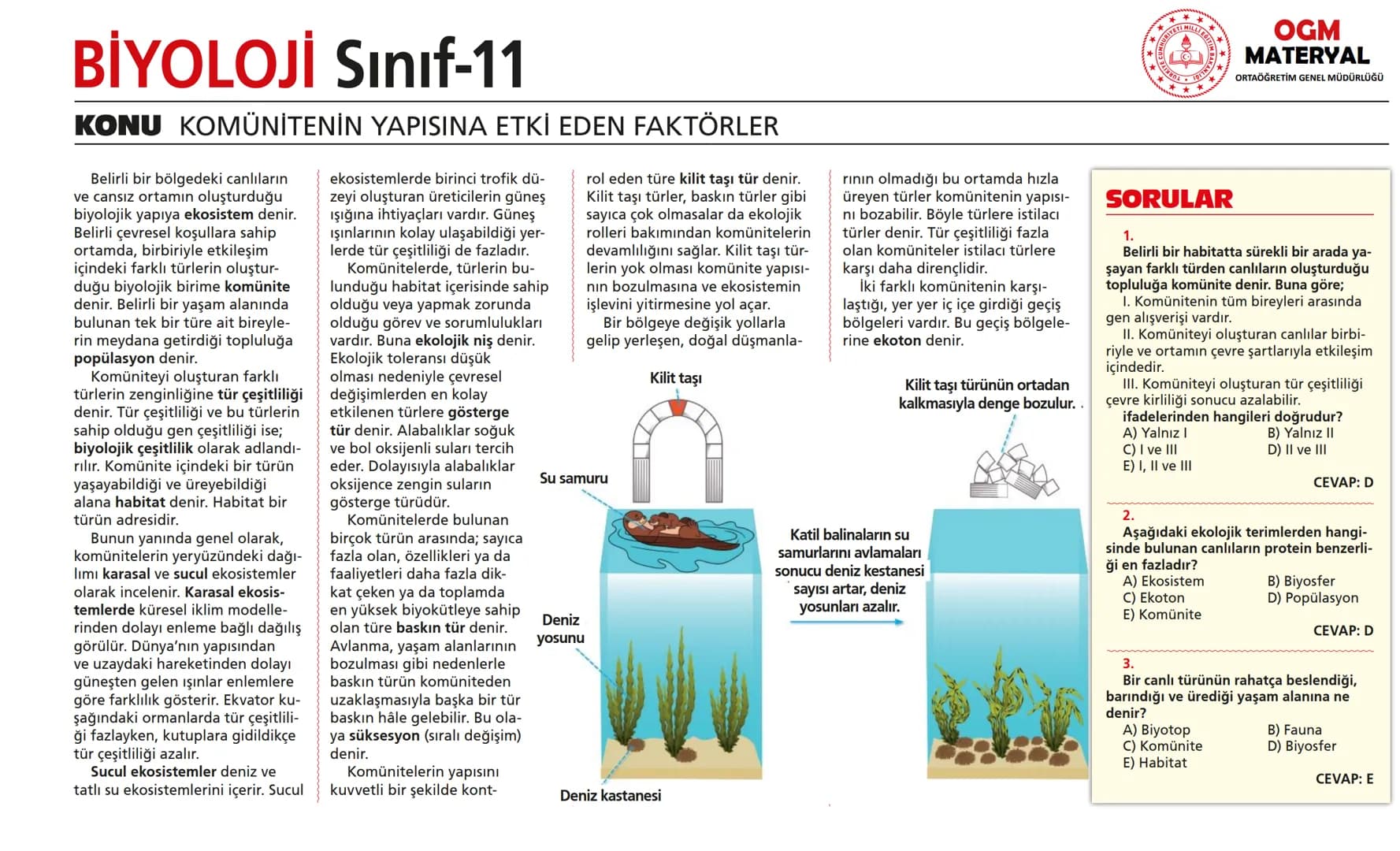 # BİYOLOJİ Sınıf-11

KONU SİNİR SİSTEMİ - I

## SİNİR SİSTEMİ:
Sinir doku adını verilen sinir hücreleri ile **glia** denilen yardımcı hücrel