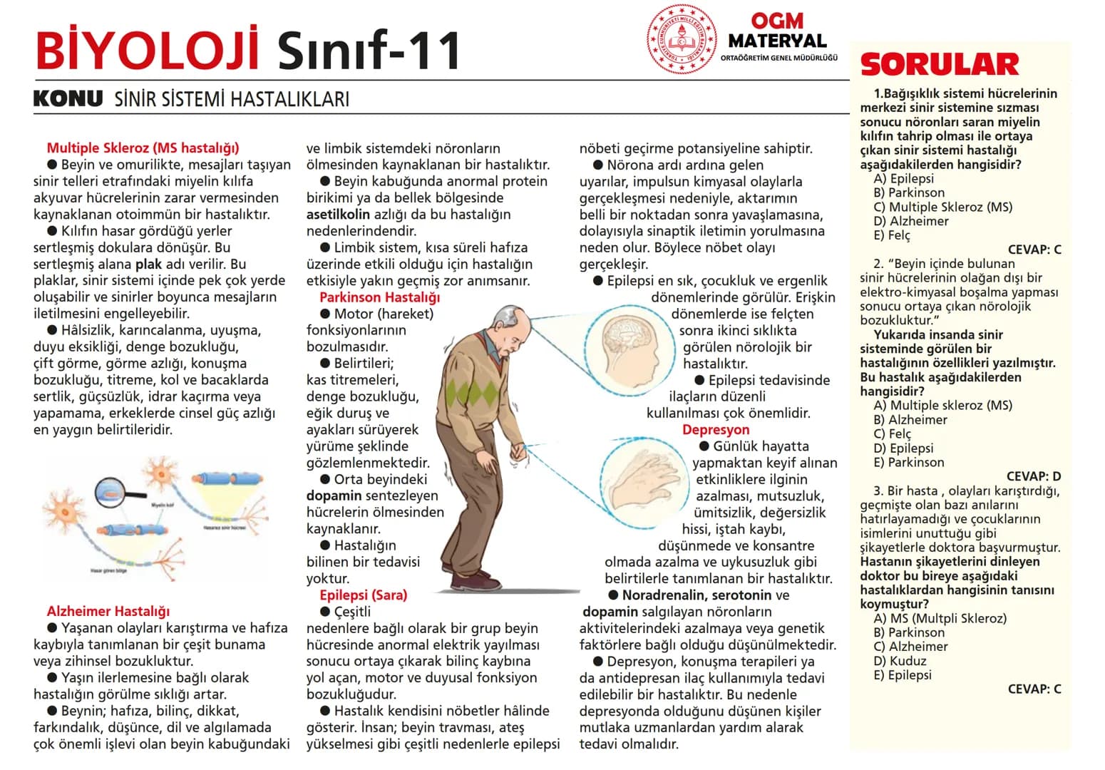 # BİYOLOJİ Sınıf-11

KONU SİNİR SİSTEMİ - I

## SİNİR SİSTEMİ:
Sinir doku adını verilen sinir hücreleri ile **glia** denilen yardımcı hücrel