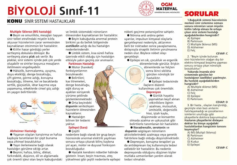 # BİYOLOJİ Sınıf-11

KONU SİNİR SİSTEMİ - I

## SİNİR SİSTEMİ:
Sinir doku adını verilen sinir hücreleri ile **glia** denilen yardımcı hücrel