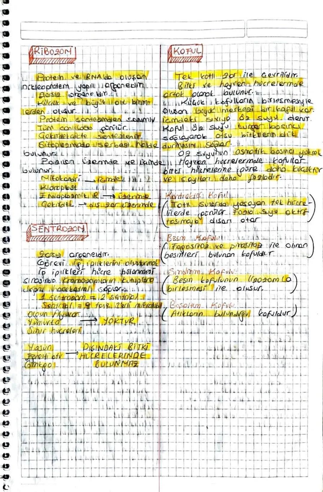 ORGANELLER
ENDO PLAZMİK REDIKULUM
there gon ile Gebidet 2011.
onasindo tohon konduktor Sistemi
Molde değilim ve sinda
Sorumludur.
Ribozam
to