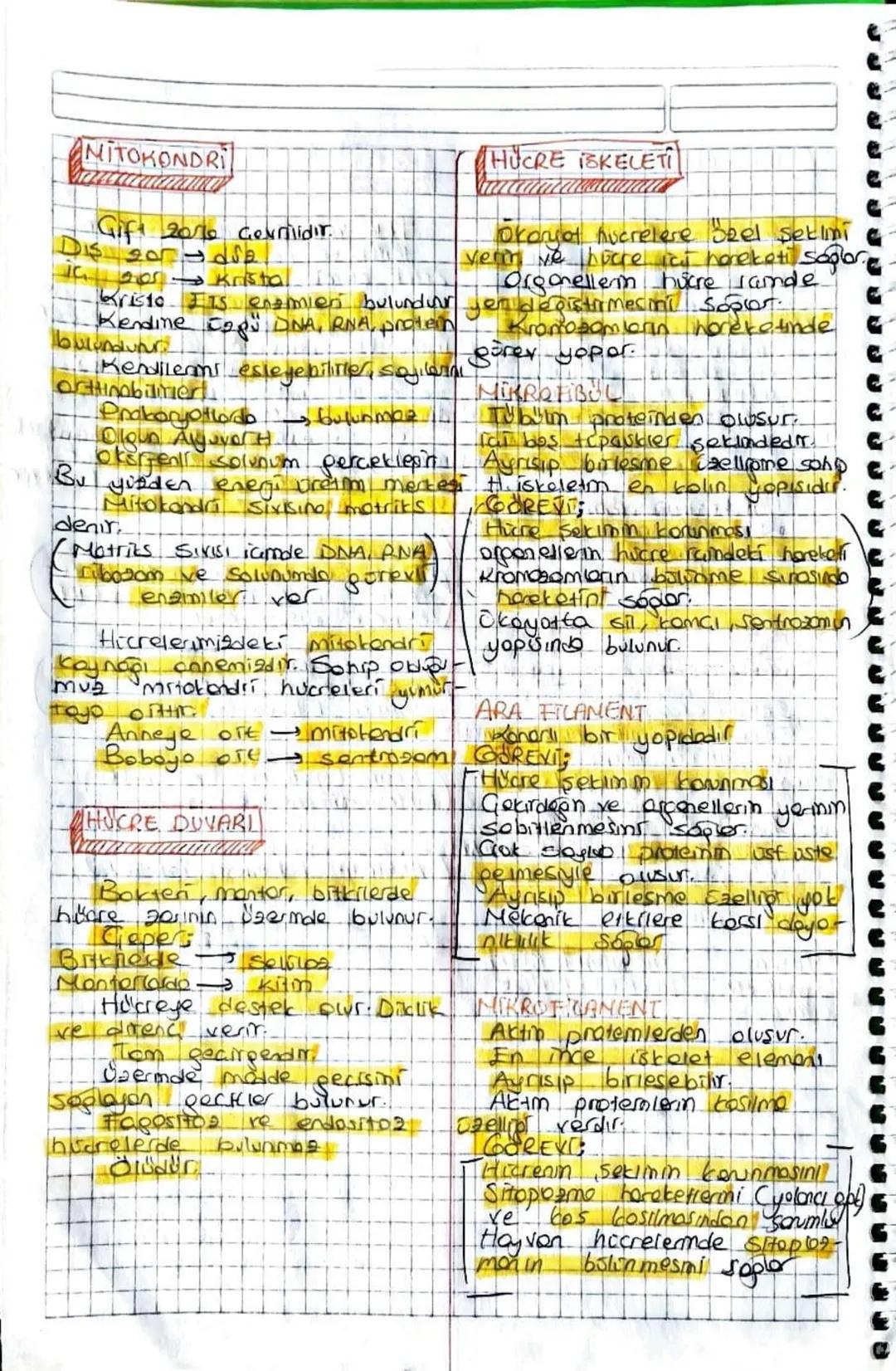 ORGANELLER
ENDO PLAZMİK REDIKULUM
there gon ile Gebidet 2011.
onasindo tohon konduktor Sistemi
Molde değilim ve sinda
Sorumludur.
Ribozam
to