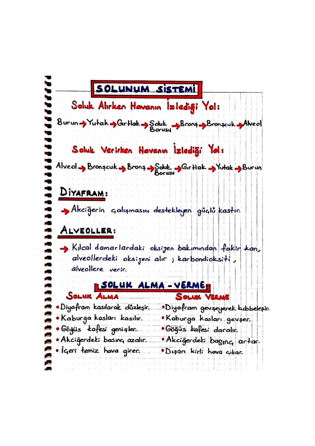 SOLUNUM SISTEMI
SOLUK BORUSU :
Havanın akciğere ulaşmasını sağlar.
Zar ile kaplıdır.
Bu zar, toz parçacıklarını ve mikropları tutmak için;
k