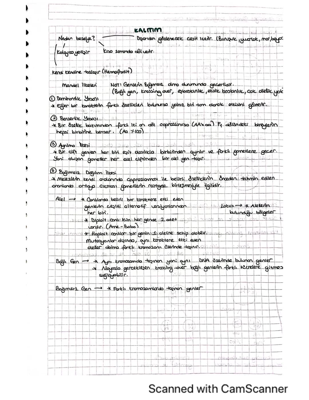 10. Sınıf Kalıtım Konusu Detaylı Ders Notları