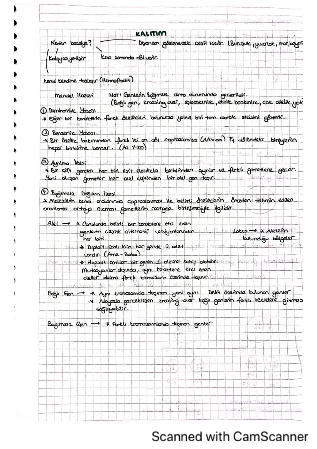 KALITIM
Diparidan gözlenecek gesit Iden'r. (Bunzuk, yuorlok, mor, bay.
Neden besely?
Kolayco yetişir
Kiso 20mondo del venir.
Kendi kendine t