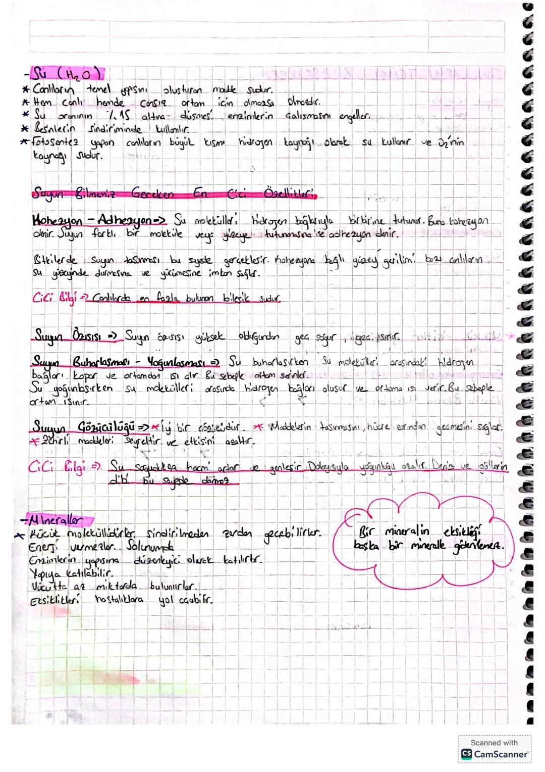 CANLILARIN TEMEL BiLESENLER
Organik Bileşikler
Karbonhidratlar
Lipitler
-Proteinler
-Emimler
-Hormonlar
- ATP
-
inorganik Bilesikler
Su
-
Mi