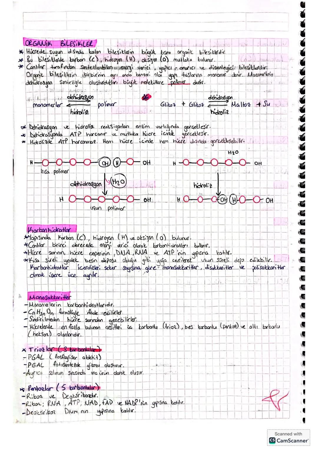 CANLILARIN TEMEL BiLESENLER
Organik Bileşikler
Karbonhidratlar
Lipitler
-Proteinler
-Emimler
-Hormonlar
- ATP
-
inorganik Bilesikler
Su
-
Mi