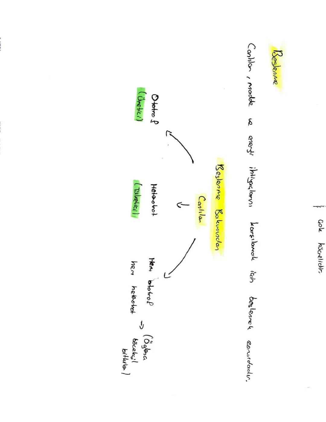 Canlıların ortak özellikleri