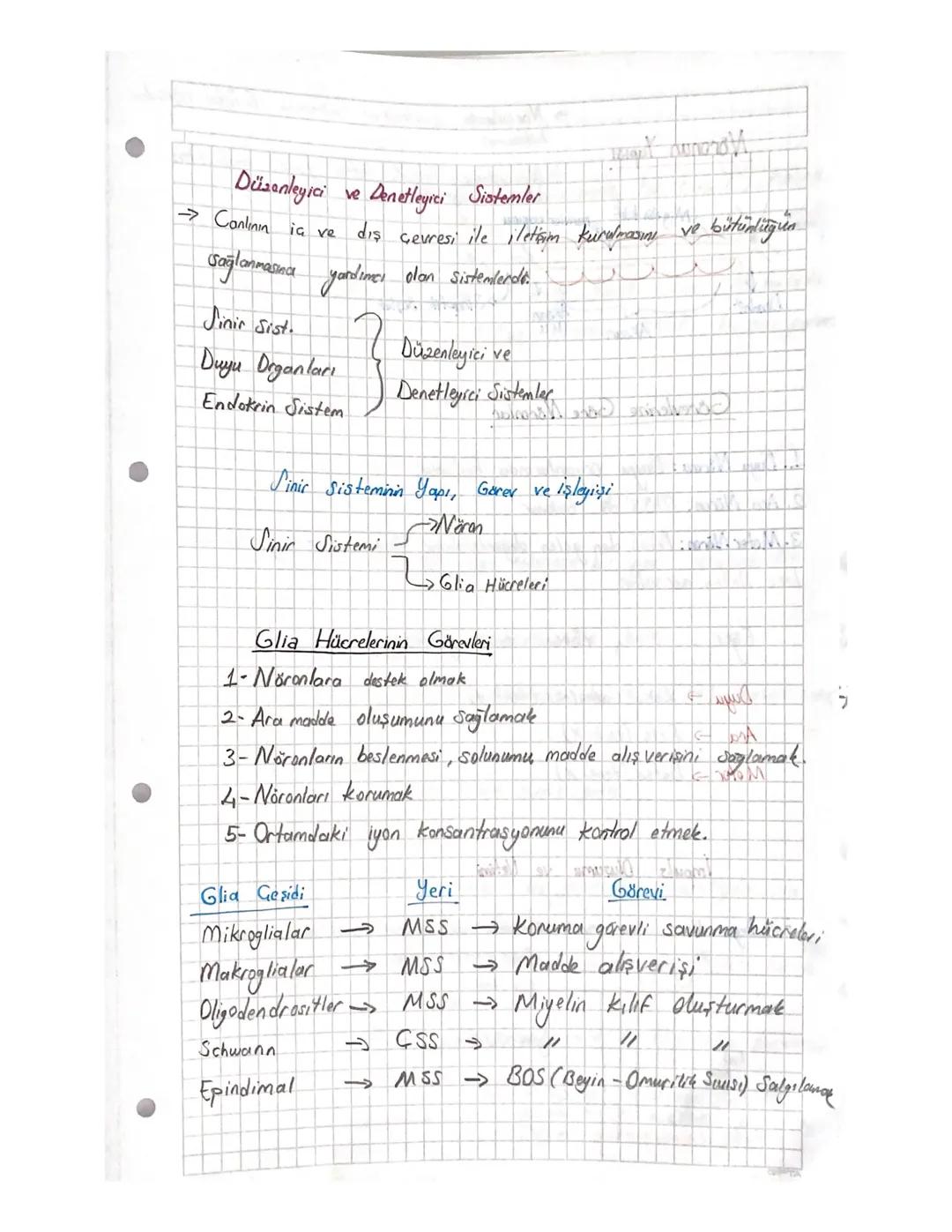 Düzenleyici ve denetleyici sistemler