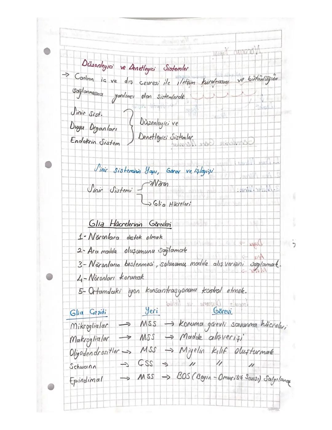 Düzenleyici ve Denetleyici Sistemler
bütünlüğün
→ Conlinin iç ve diş çevresi ile iletişim kurulmasını ve bütün
sağlanmasına yardımcı olan si