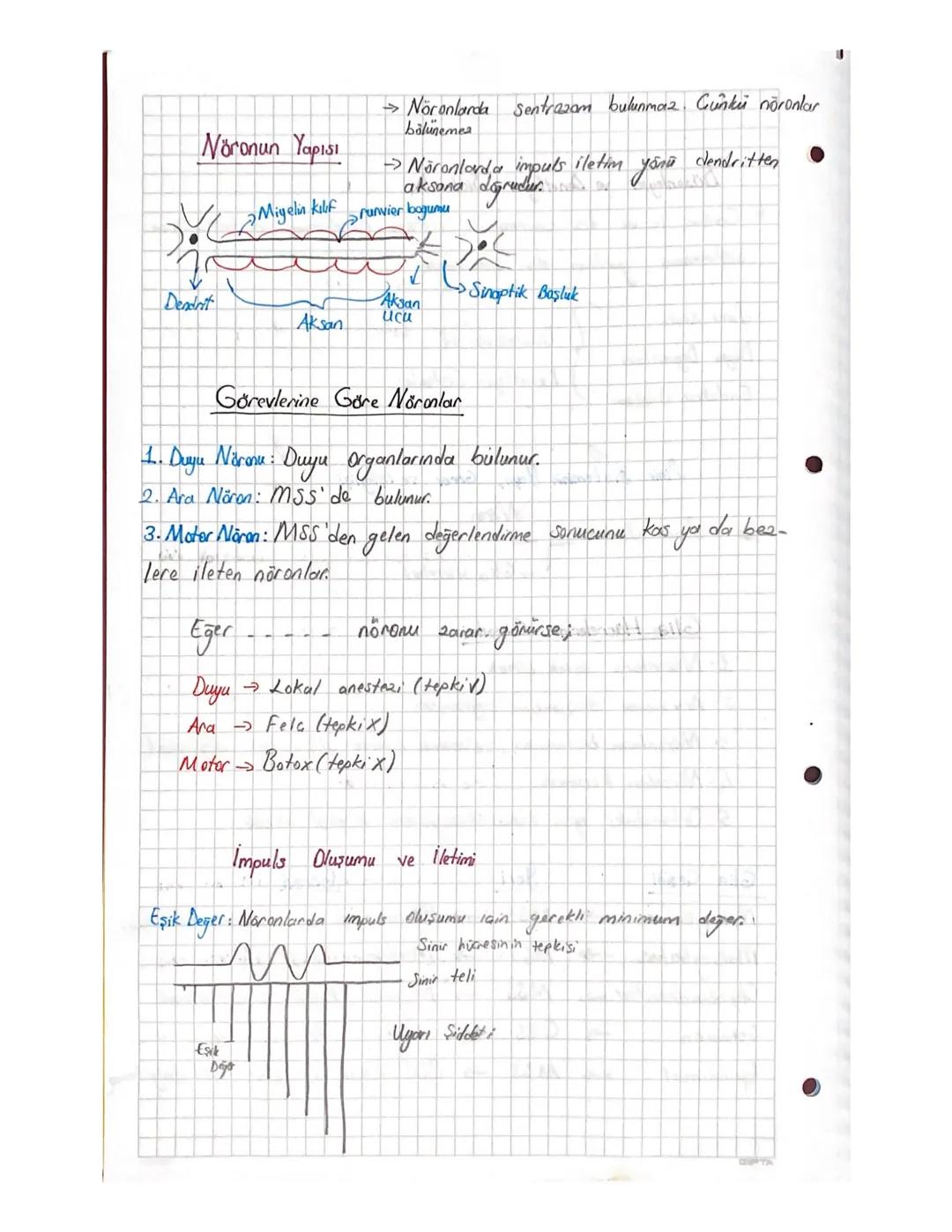 Düzenleyici ve Denetleyici Sistemler
bütünlüğün
→ Conlinin iç ve diş çevresi ile iletişim kurulmasını ve bütün
sağlanmasına yardımcı olan si