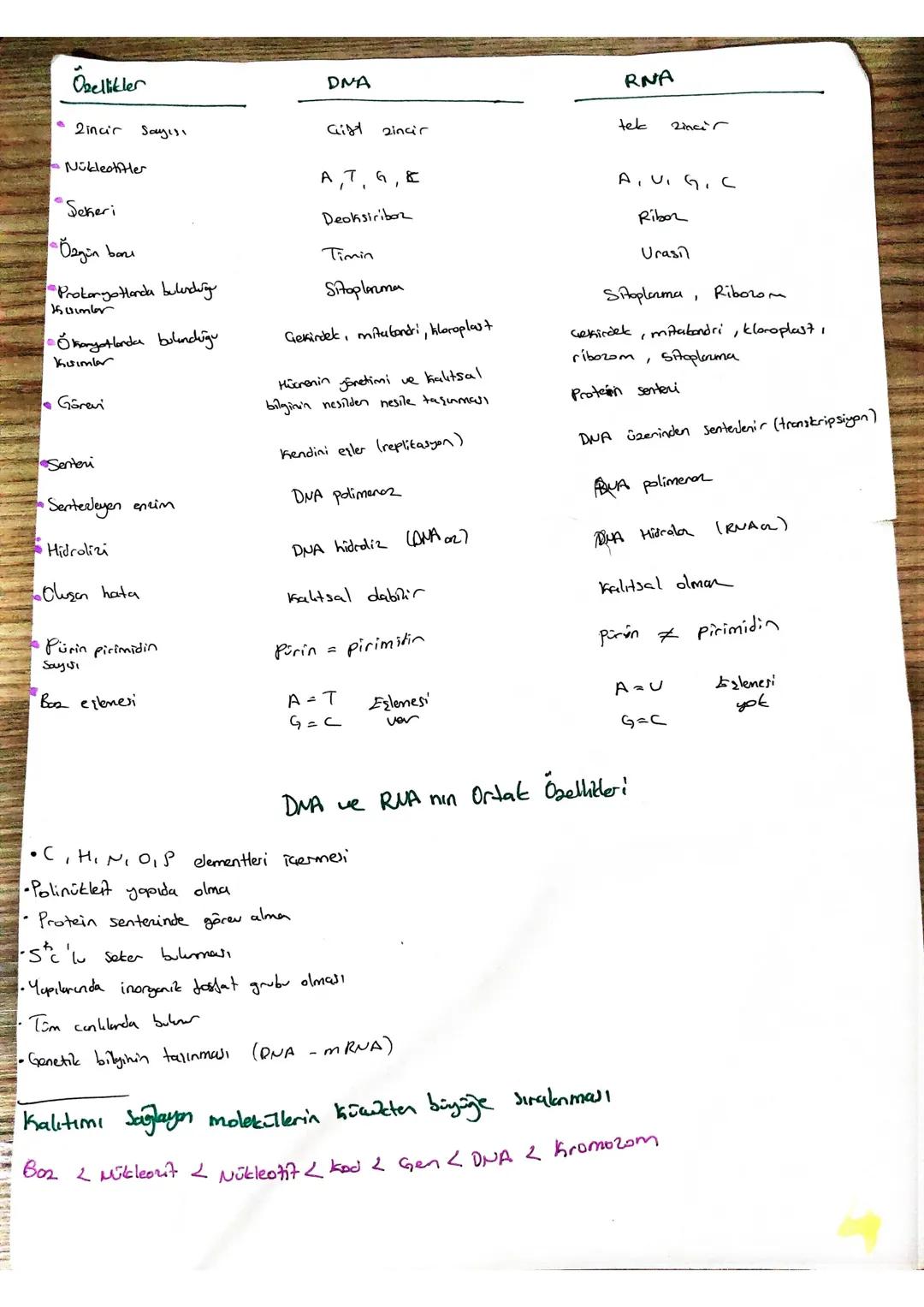 RNA DNA Farkı Ortak Özellikleri