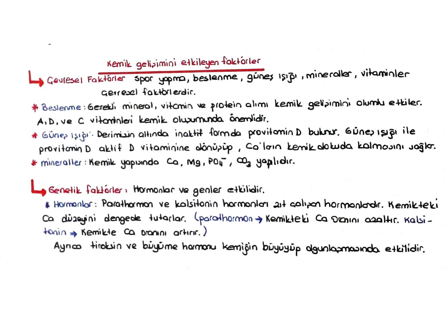 DESTEK VE HAREKET SİSTEMİ
(iskelet - Kas sistemi)
*Kıkırdak doku:
Kıkırdak hücresine = Kondrosit
denir.
=
Ara maddesinde bolmiktarda kondroi