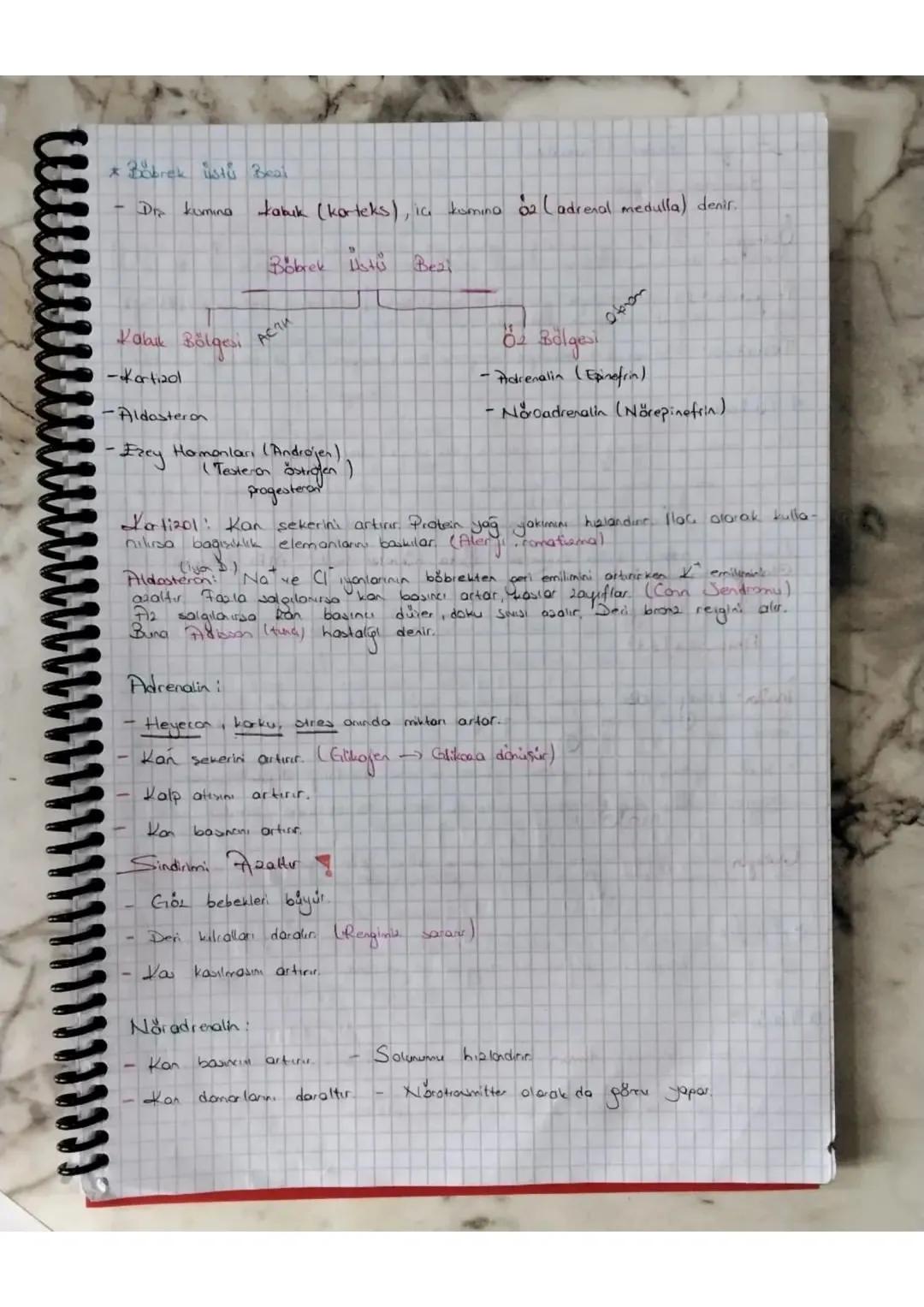 Negatif Geri Bildirim
-
Endokrin Bepleri ve Salgıladıkları Hormonlar
la
rek
salgi bezi de denilen endokrin bealer hormon
düzenleyici görev y