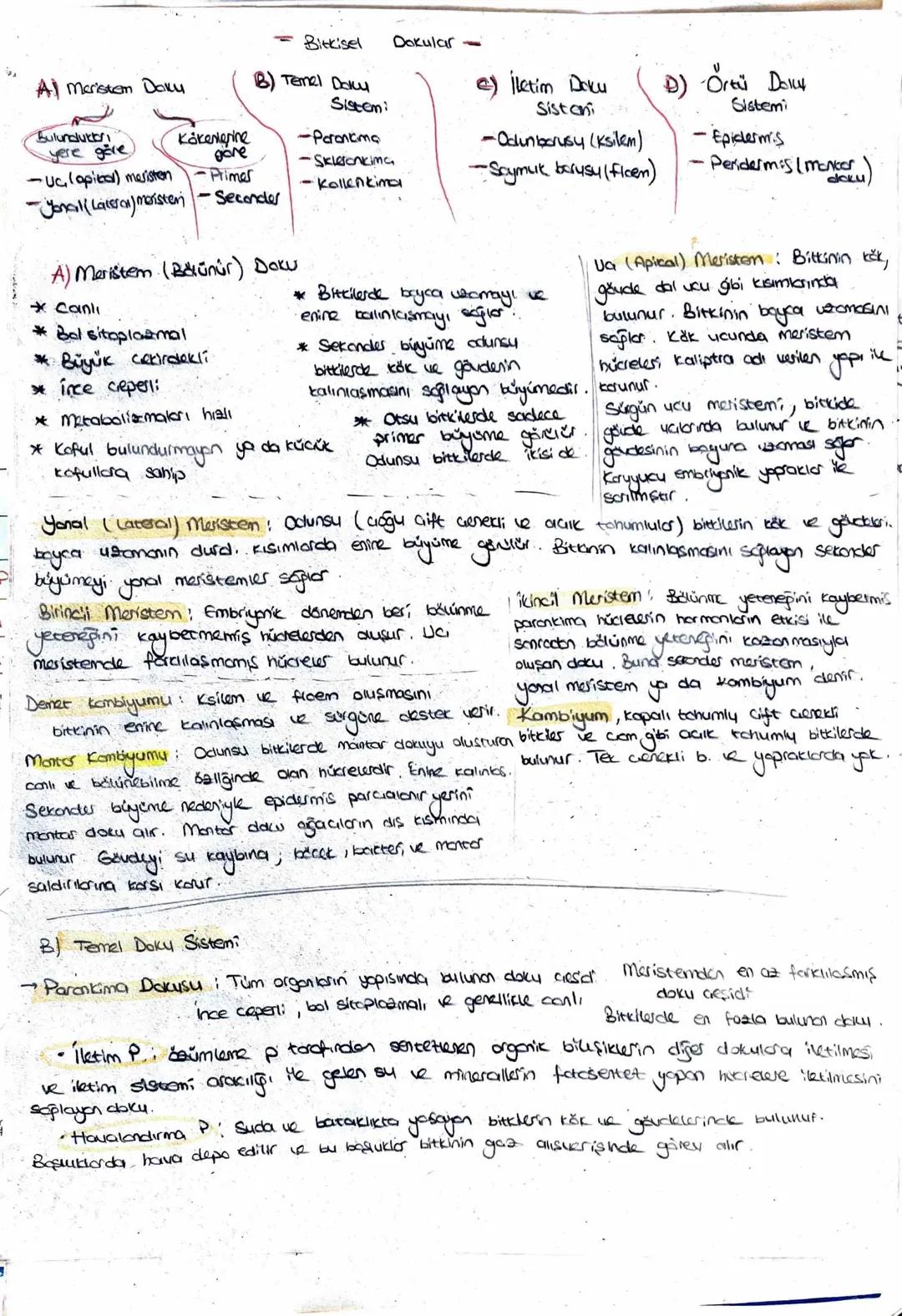 Polisakkaritler
(Nisosta, Glikoz)
Amilaz
↓
Küçük palisakkoritur
Mator
Polisalkkaritles
T
Pankreatik amilaz
↓
Maltaz ve diges
disakkortter
Di