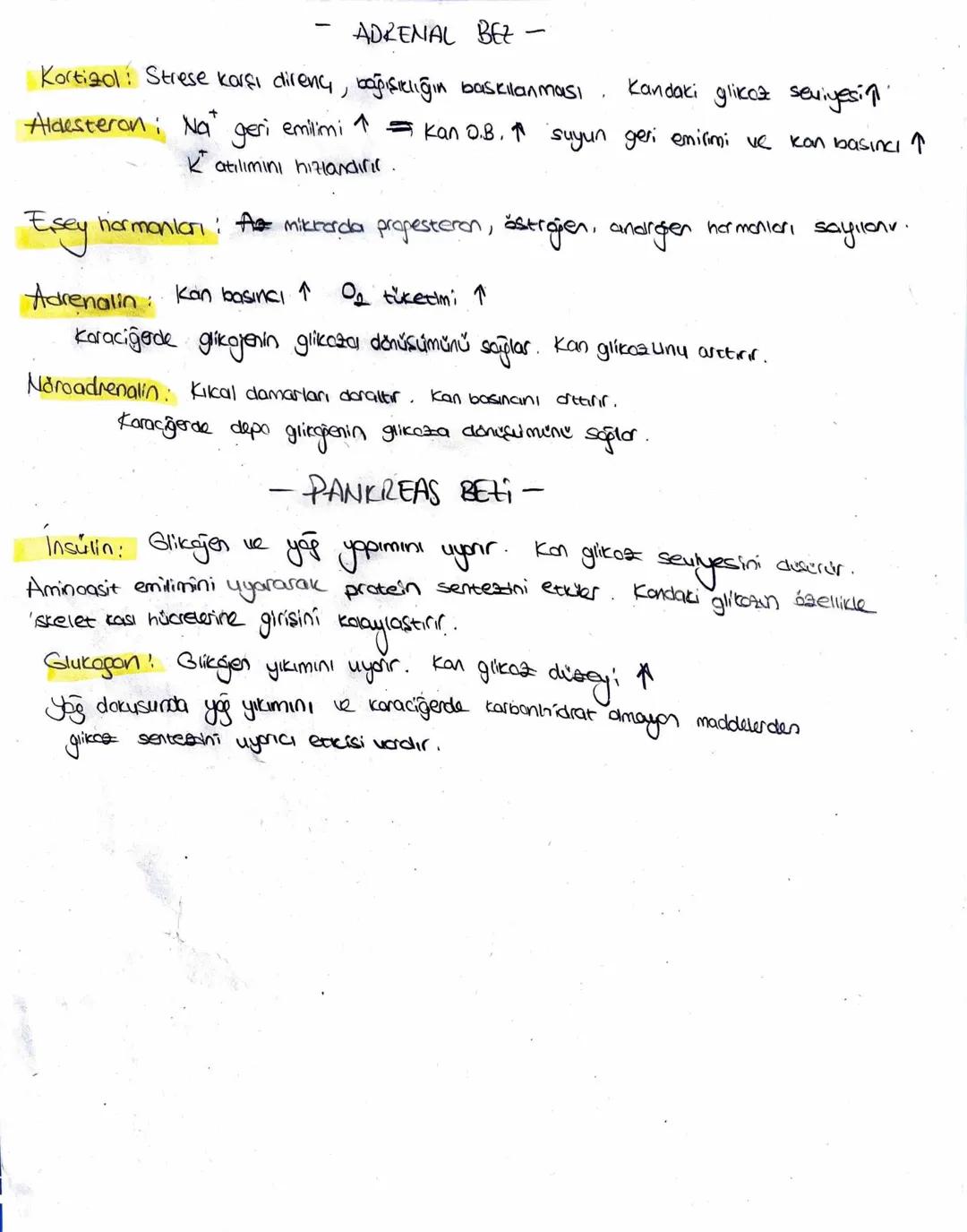 Polisakkaritler
(Nisosta, Glikoz)
Amilaz
↓
Küçük palisakkoritur
Mator
Polisalkkaritles
T
Pankreatik amilaz
↓
Maltaz ve diges
disakkortter
Di