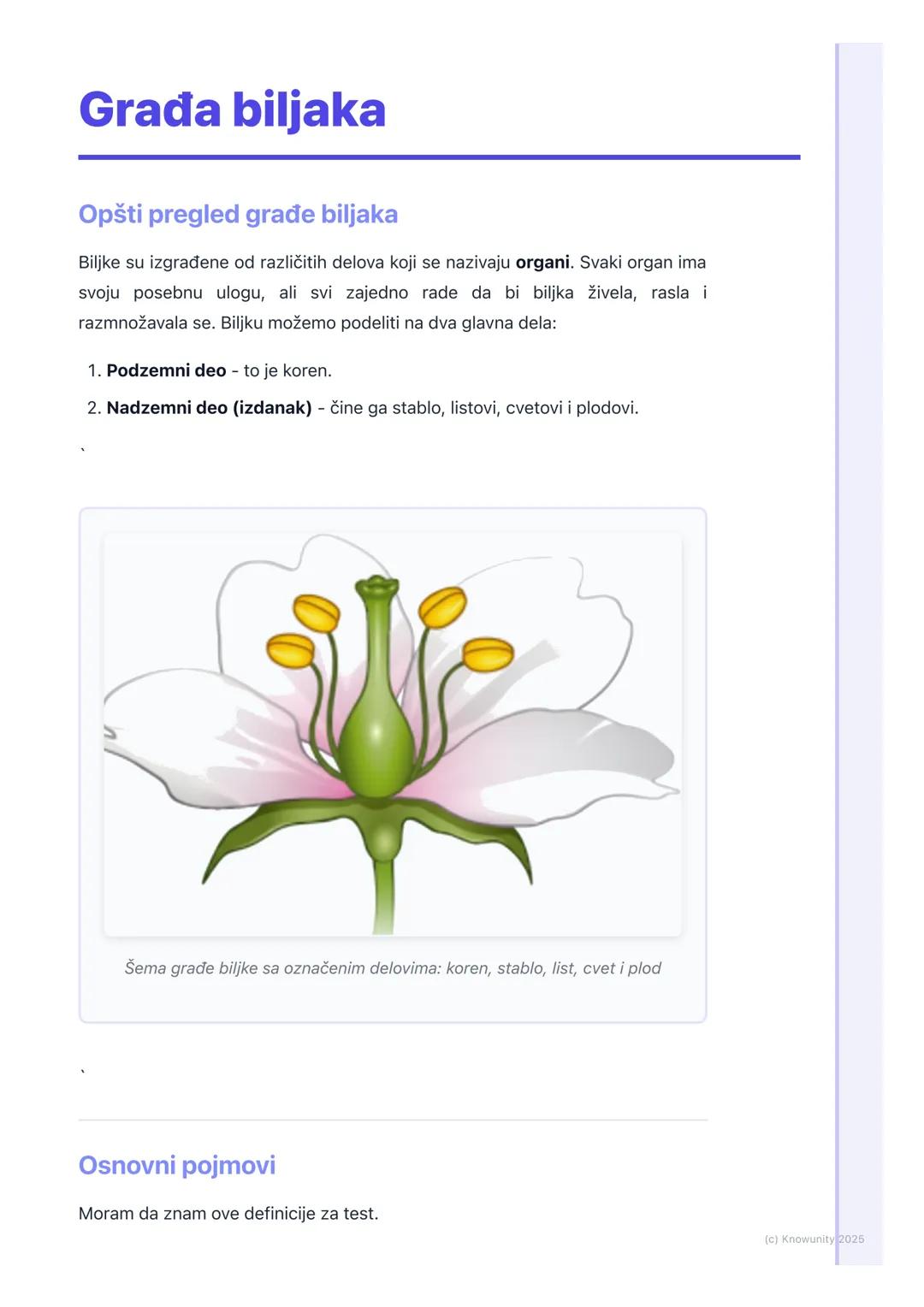 # Građa biljaka

Opšti pregled građe biljaka

Biljke su izgrađene od različitih delova koji se nazivaju organi. Svaki organ ima
svoju posebn