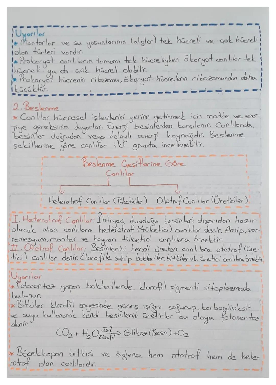 Biyoloji
Canlıların Ortak Özellikleri
Hücresel
*Beslenme
*Horeket
yap
*Homeostazi
* Uyum
*Organizasyon
* Solunum
*
*Boşaltım
Uyarılara Tepki