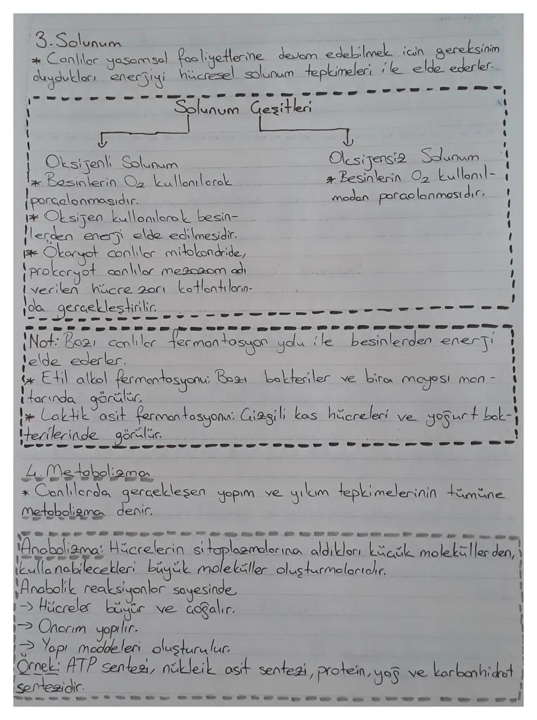 Biyoloji
Canlıların Ortak Özellikleri
Hücresel
*Beslenme
*Horeket
yap
*Homeostazi
* Uyum
*Organizasyon
* Solunum
*
*Boşaltım
Uyarılara Tepki