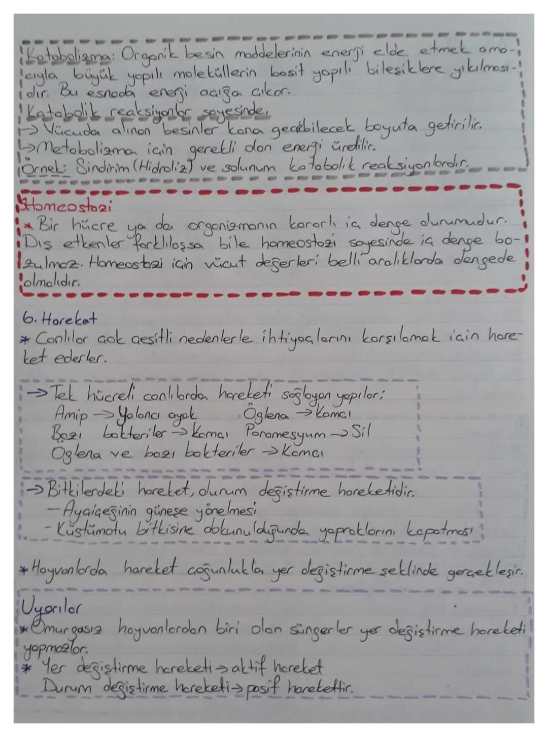 Biyoloji
Canlıların Ortak Özellikleri
Hücresel
*Beslenme
*Horeket
yap
*Homeostazi
* Uyum
*Organizasyon
* Solunum
*
*Boşaltım
Uyarılara Tepki