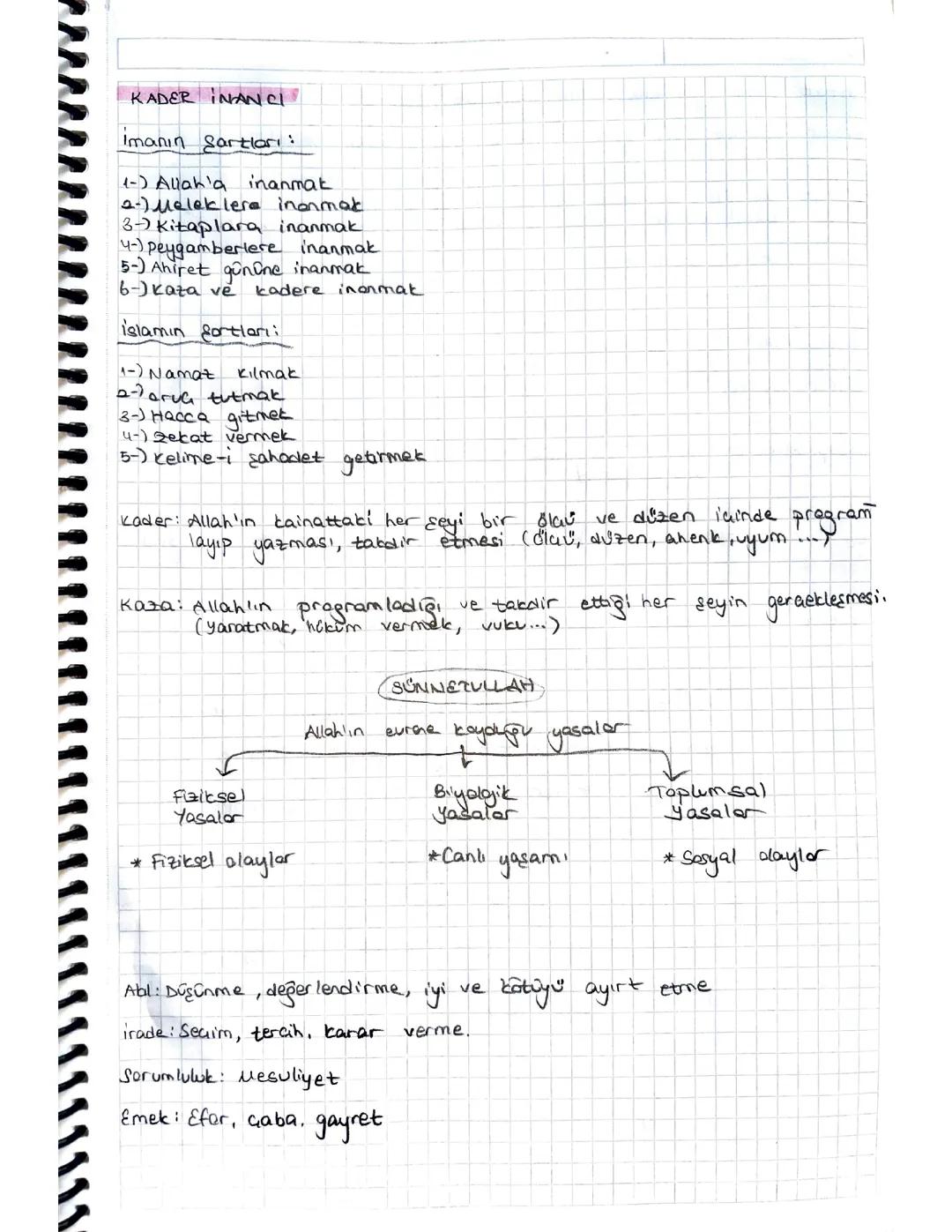 LGS DİN KÜLTÜRÜ KADER İNANCI