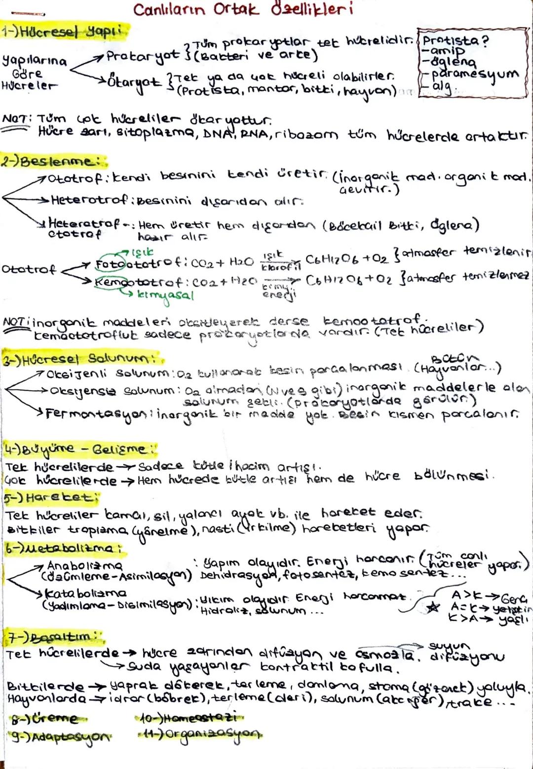 1-) Hücresel yapı

yapılarına
Göre
Hücreler
Canlıların Ortak Özellikleri
2 Tum prokar yotlar tet hucrelidir. Protista?
→Prokaryot (Barteri v