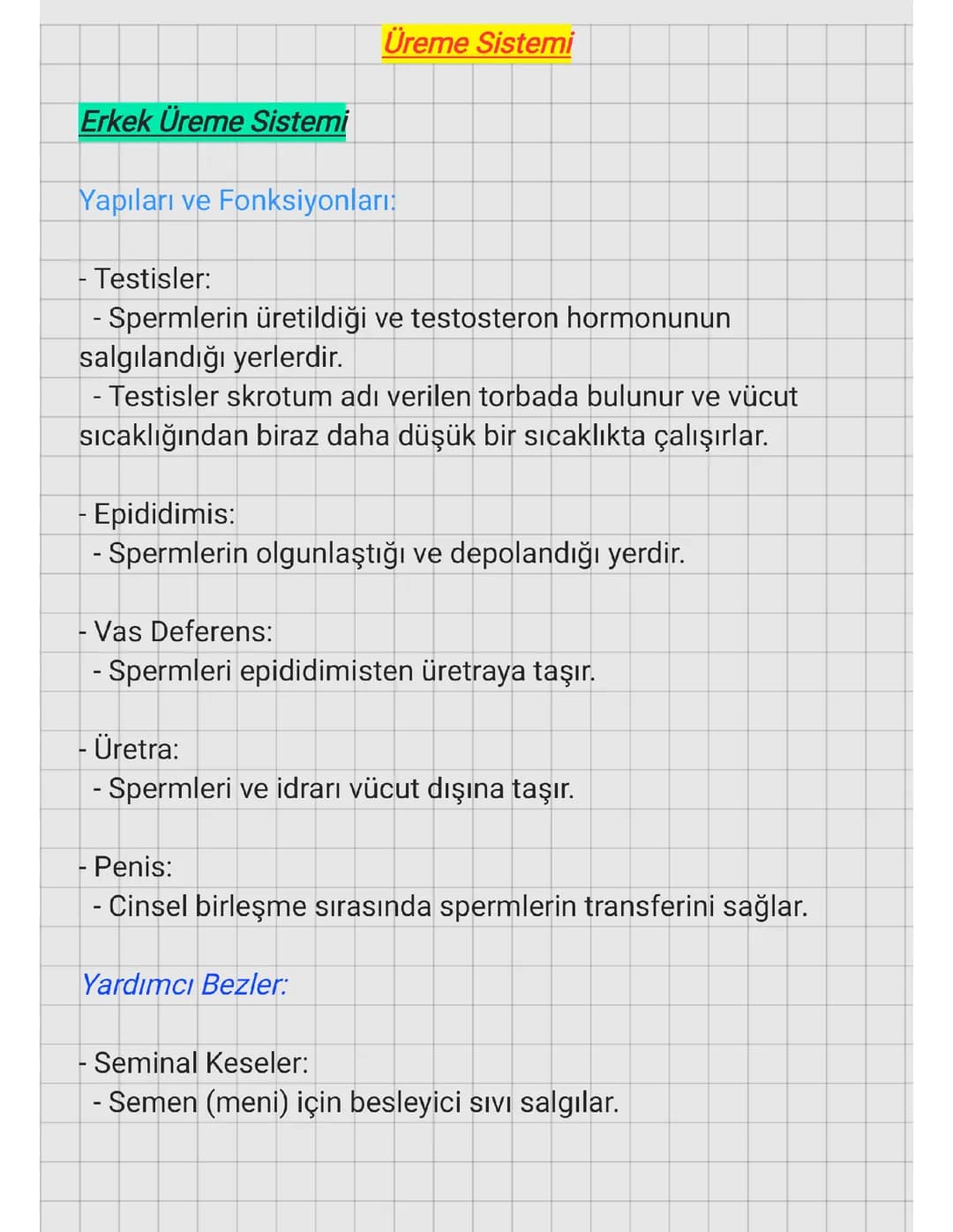 ÜREME SİSTEMİ 