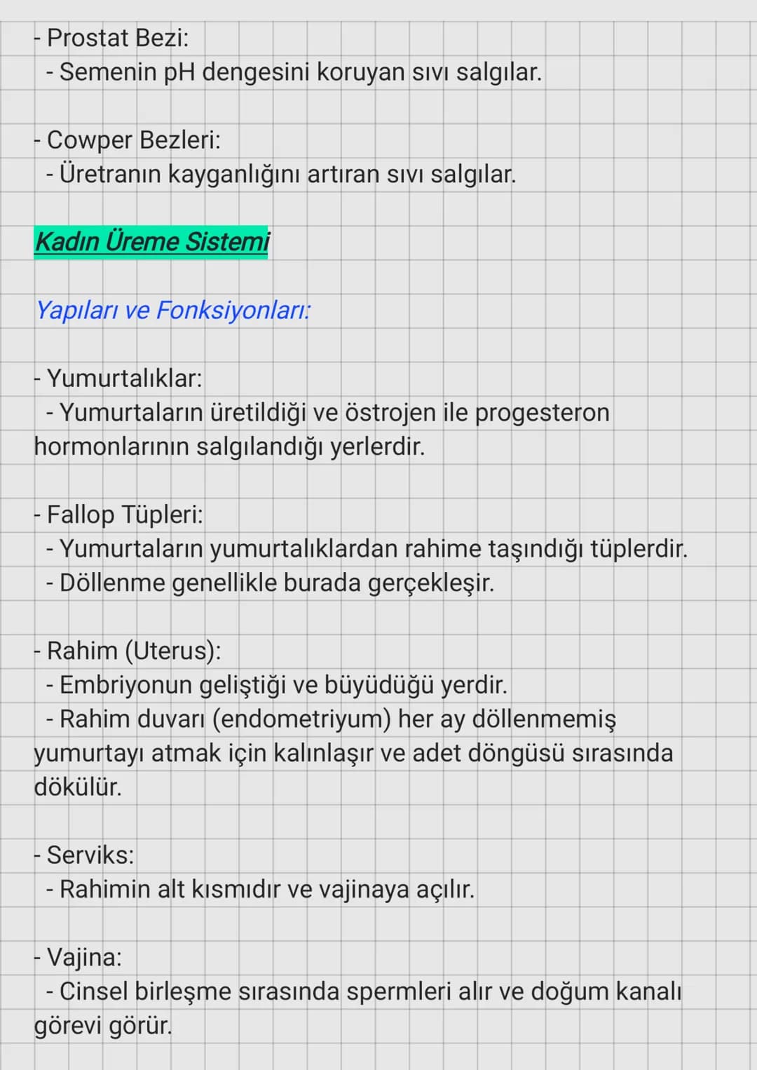 Erkek Üreme Sistemi
Yapıları ve Fonksiyonları:
- Testisler:
Üreme Sistemi
- Spermlerin üretildiği ve testosteron hormonunun
salgılandığı yer