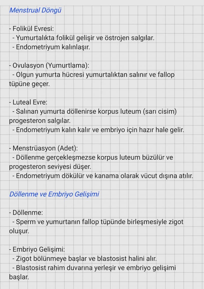 Erkek Üreme Sistemi
Yapıları ve Fonksiyonları:
- Testisler:
Üreme Sistemi
- Spermlerin üretildiği ve testosteron hormonunun
salgılandığı yer