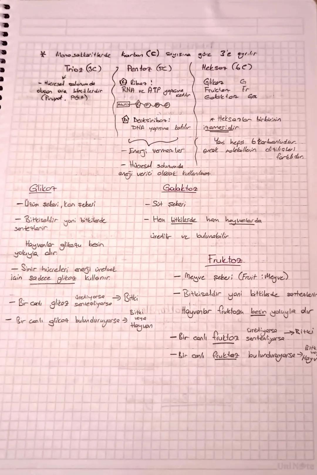 -
Organik Bileşikler
-Enerji verebilirler
- Canlılar tarafından setesterebiler
- Japıya katılırlar.
- Japlarında C. H.O bir arada bulmur. (N