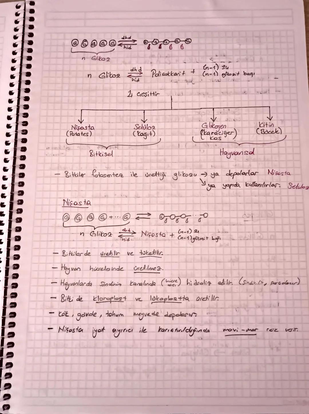 -
Organik Bileşikler
-Enerji verebilirler
- Canlılar tarafından setesterebiler
- Japıya katılırlar.
- Japlarında C. H.O bir arada bulmur. (N