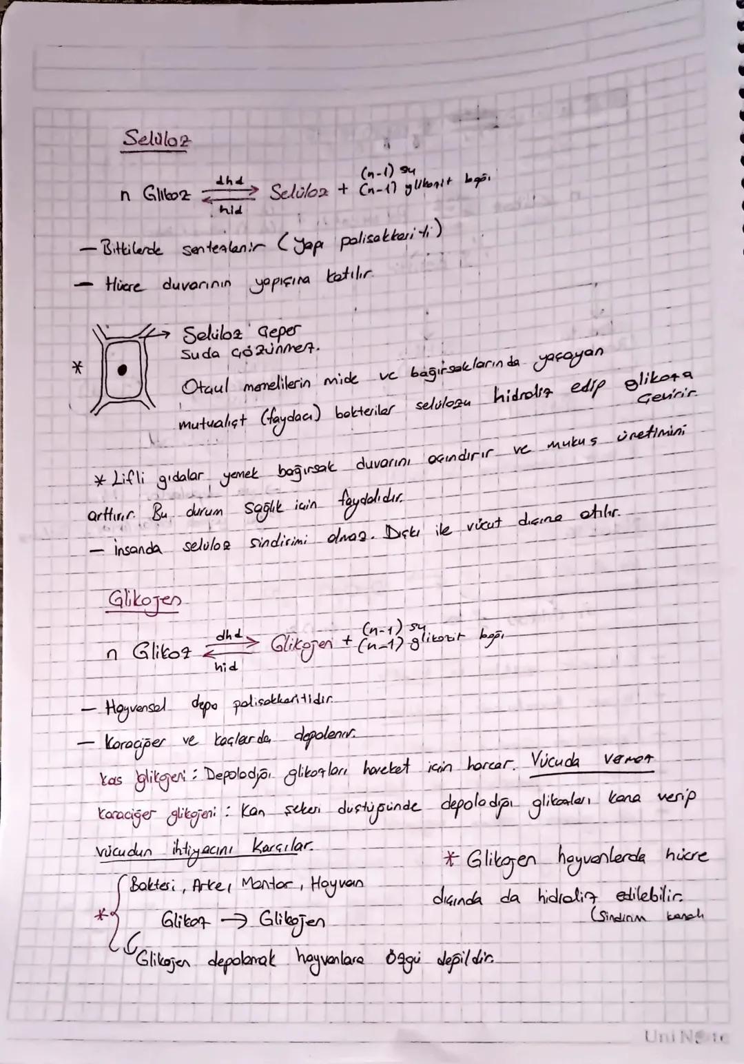 -
Organik Bileşikler
-Enerji verebilirler
- Canlılar tarafından setesterebiler
- Japıya katılırlar.
- Japlarında C. H.O bir arada bulmur. (N