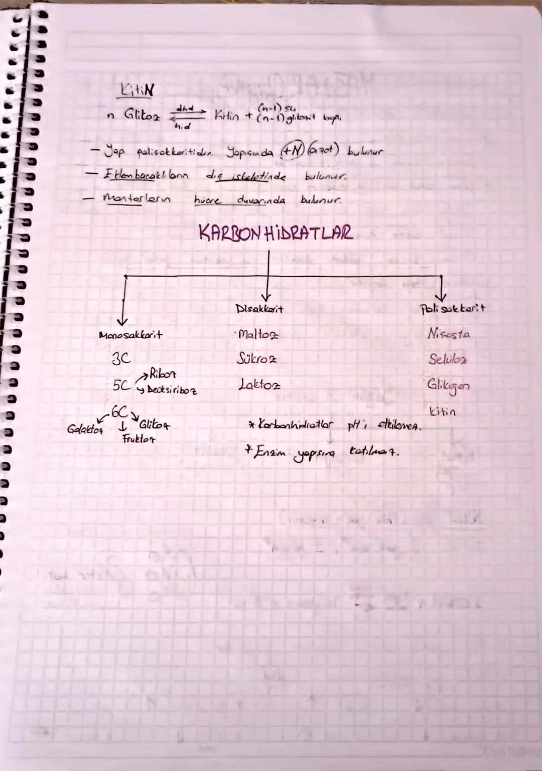 -
Organik Bileşikler
-Enerji verebilirler
- Canlılar tarafından setesterebiler
- Japıya katılırlar.
- Japlarında C. H.O bir arada bulmur. (N